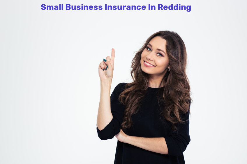 Small Business Insurance In Redding
