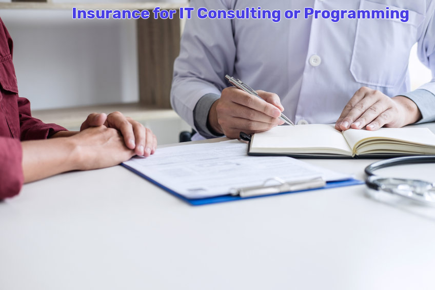 IT Consulting or Programming Insurance
