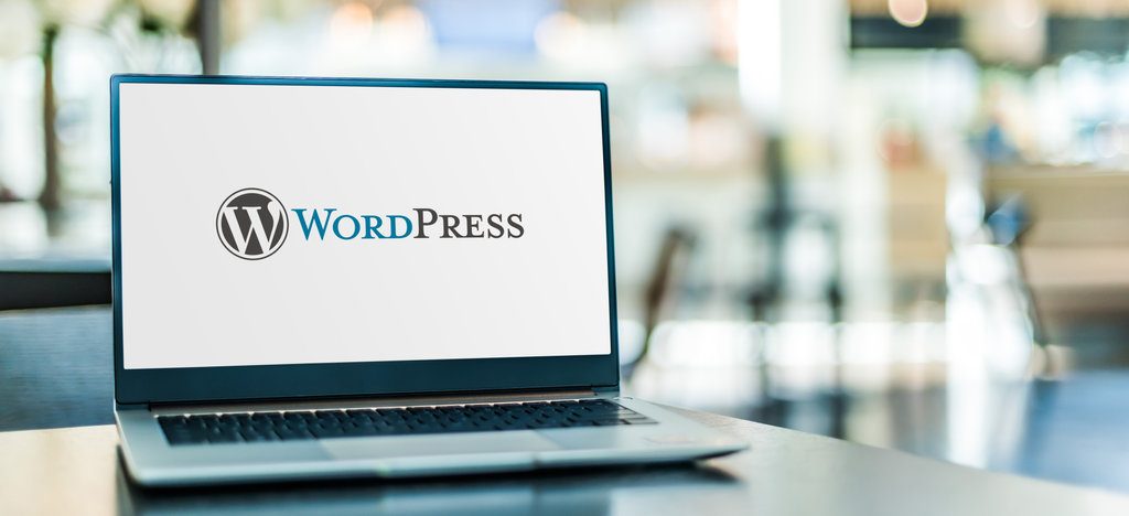 What is the Best Insurance for WordPress Developers?