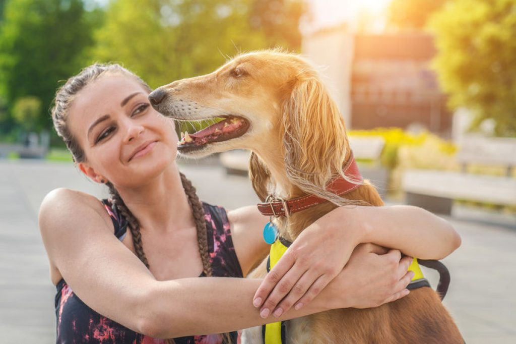 Dog walking insurance by the month